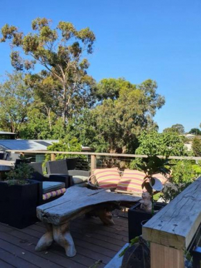 Family beach house among the gum trees, Ocean Grove